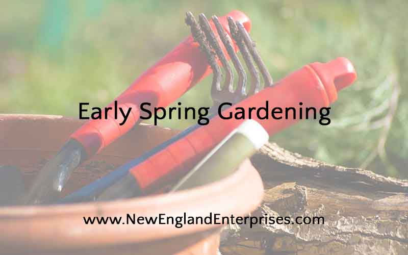 Early Spring Gardening, New England Enterprises, Marlborough, MA