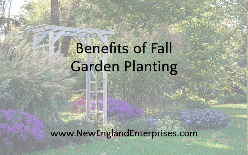 Benefits of Fall Garden Planting