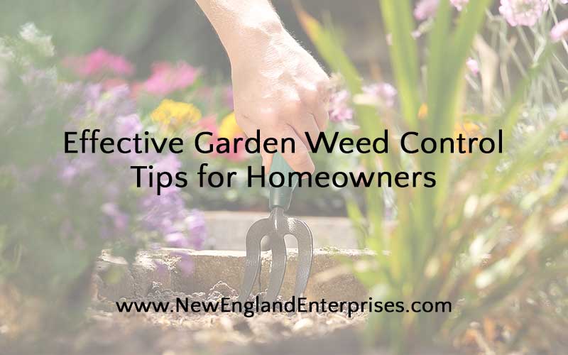 Love your gardens but hate weeds? Learn about some tried and true weed control activities will help you keep your gardens looking neat and maintained.