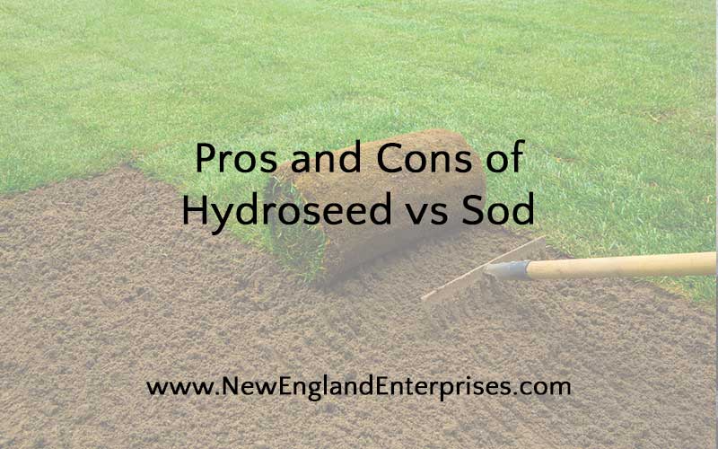 Pros and Cons of Hydroseed vs Sod