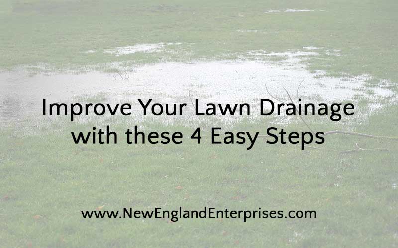 Improve Your Lawn Drainage with these 4 Easy Steps
