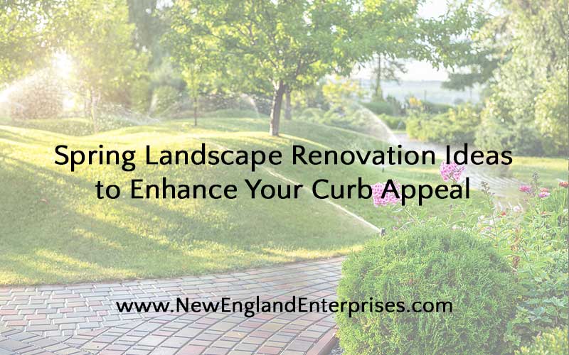 Spring Landscape Renovation Ideas to Enhance Your Curb Appeal