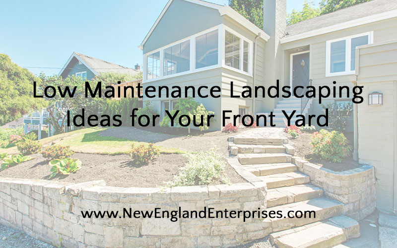 Low Maintenance Landscaping Ideas for Your Front Yard