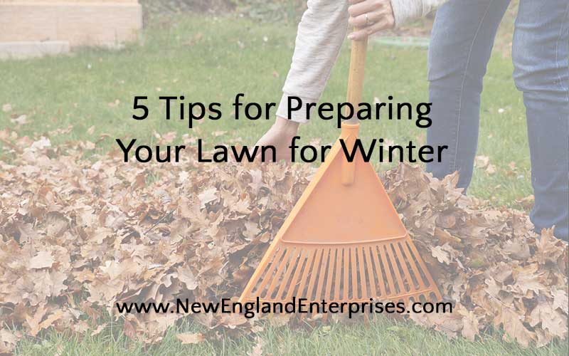 5 Tips for Preparing Your Lawn for Winter