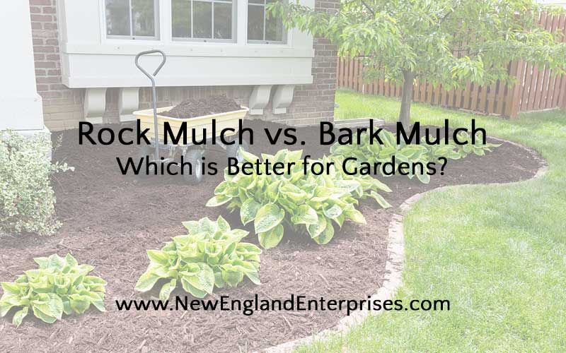 Rock Mulch vs. Bark Mulch - Which is Better for Gardens?