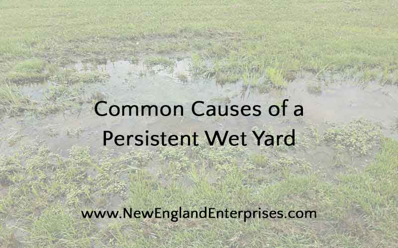 Property with persistent wet yard