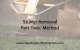Advantages and Disadvantages of Stump Removal Methods