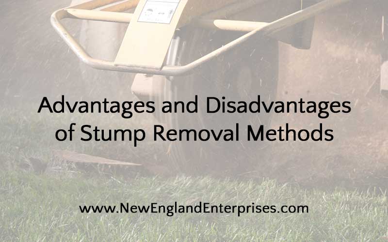 Stump Removal, New England Enterprises, Marlborough, MA