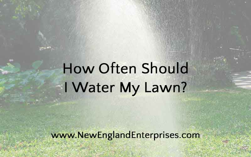 How Often Should I Water My Lawn - New England Enterprises